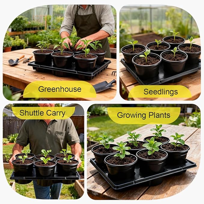 6 Inch Plastic Plant Pots 30 Pack and 6 Cell Nursery Pots Trays 5 Pack, Sturdy Seeds Starting Germination Shuttle Carrying Trays, Black Nursery Planting Propagation 5 Sets