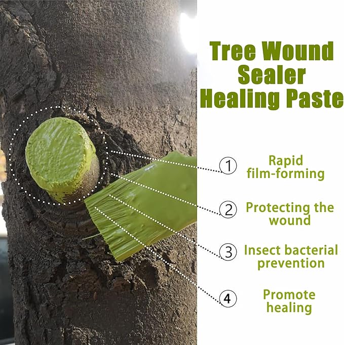 Tree Wound Sealer, Bonsai Cut Paste, Pruning Sealer, Tree Wound Sealer Healing Paste, Pruning Sealer And Tree Wound Dressing for Plant, Trees, Shrubs, Roses, Tree Grafting Supplies (3*100g +3*Brush)