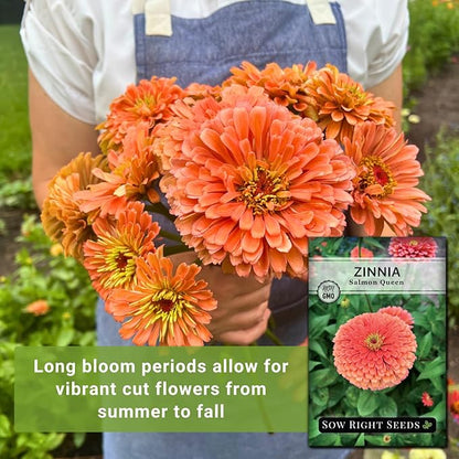 Sow Right Seeds - Salmon Queen Zinnia Seeds for Planting - Non-GMO Heirloom Packet to Plant & Grow an Outdoor Home Flower Garden - Annual, Giant Pink Blooms to Cut and Come Again (3)
