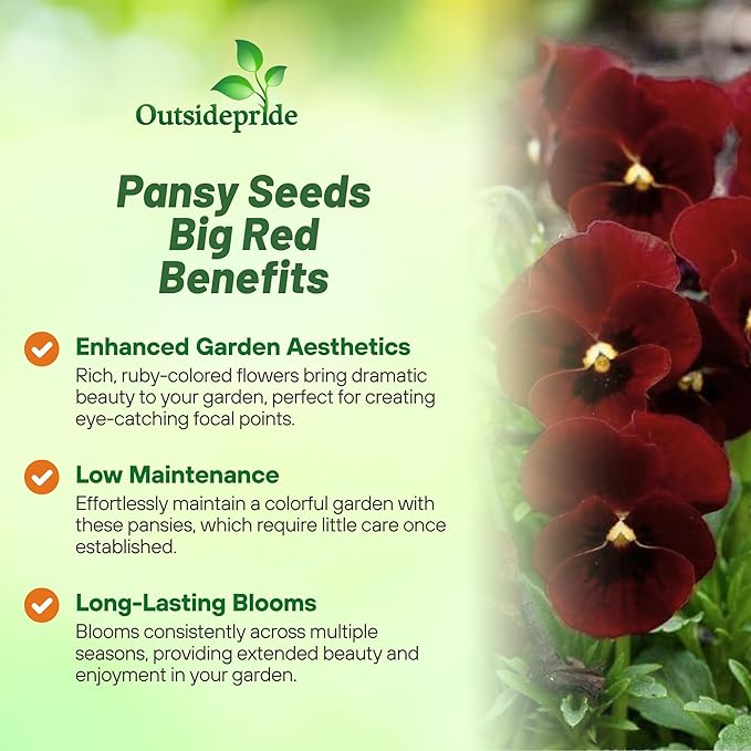 Outsidepride Big Red Viola Pansy Seeds for Planting - 50 Pcs. Biennial, Cold-Hardy & Pollinator Friendly Flowers with Fragrant Blooms for Garden Beds, Borders & Container Displays