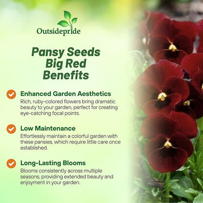 Outsidepride Big Red Viola Pansy Seeds for Planting - 50 Pcs. Biennial, Cold-Hardy & Pollinator Friendly Flowers with Fragrant Blooms for Garden Beds, Borders & Container Displays