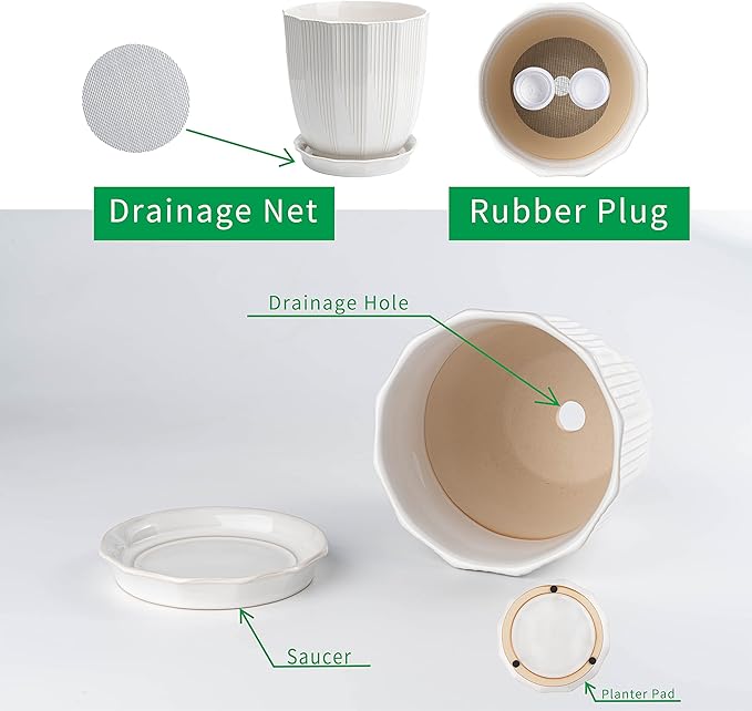 ADN Ceramic Planter, 6 Inch Plant Pots for Plants Modern Decor Indoor Flower Pot with Saucer and Drainage Hole, White