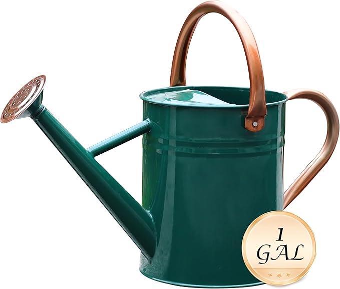 Metal Watering Can for Outdoor and Indoor Plants, Watering Can Decor, 1 Gallon (NewGreen)