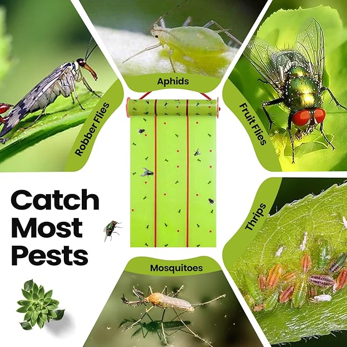 Qualirey Giant Sticky Fly Traps, Fly Strips for Indoor Outdoor Hanging Flying Tapes Non Toxic Ribbon Fruit Gnat Killer for Mosquito Plants House Horse Stable(30 ft,Fluorescent Green,2 Pcs)