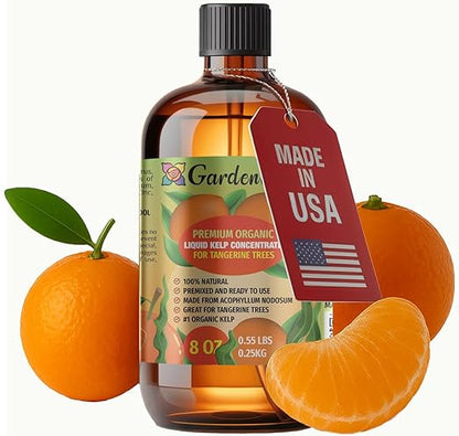 GARDENERA Premium Organic Seaweed & Kelp Superfood for Tangerine Plants - 8 oz - Liquid Kelp Fertilizer Concentrate (Makes 45 Gallons)