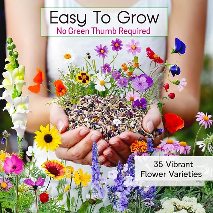NatureZ Edge Wildflower Seeds Mix – 2 Oz, 85,000 Seeds, 35 Variety Perennial & Annual Flower Seeds to Plant Outside, Bulk Wildflower Seeds, Wild Flower, Semillas de Flores