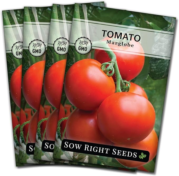 Sow Right Seeds - Marglobe Tomato Seeds for Planting - Non-GMO Heirloom Packet with Instructions to Plant and Grow a Home Vegetable Garden - Classic Medium Red Variety - Determinate Hydroponic (4)
