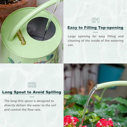 Berry&Bird House Plants Watering Can - Indoor & Outdoor 1/2 Gallon Stainless Steel Water Can with Long Spout Garden Decoration for Flower Bonsai Succulent Gardening Large Watwer Bottle(2L/Robin)