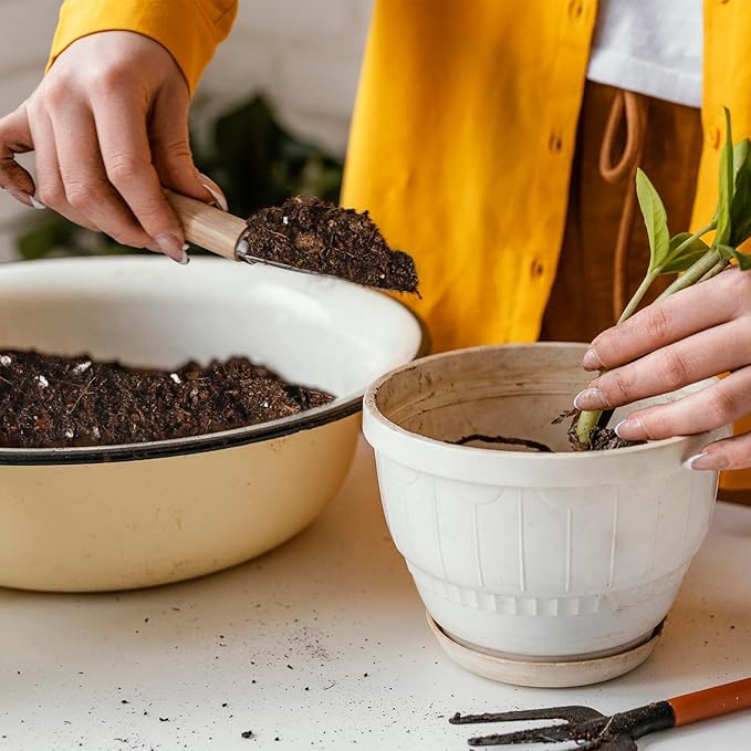 Potting Soil Mix 10qt for Indoor Plants, Organic Houseplant Soil Well Draining Dirt Ready to Use, Fit for House Plant Like Pothos, Philodendron, Monstera, African Violet