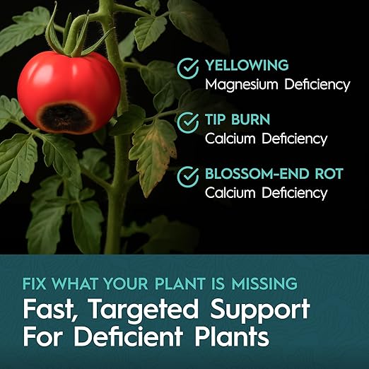 CaMg 2.5 Gallon | High-Concentration Calcium and Magnesium Supplement with Nitrogen and Iron | Essential Micronutrient Blend for Vigorous Plant Growth