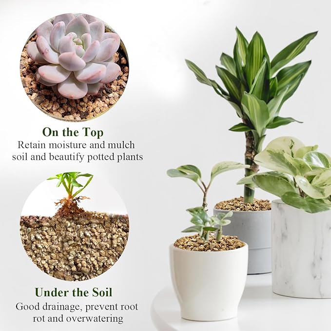 10 lbs Maifanitum Stones for Succulent,1/4 Inch Decorative Rocks for Indoor Plants, Bonsai, Soil Cover. Small Stones for Water Drainage and Plant Growth