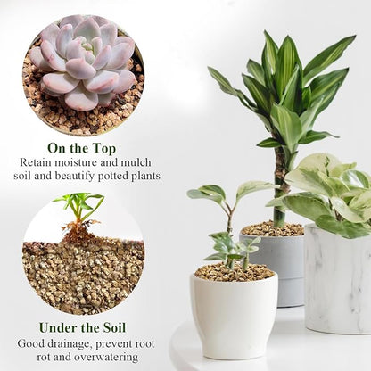 5 lbs Maifanitum Stones for Succulent,1/4 Inch Decorative Rocks for Indoor Plants, Bonsai, Soil Cover. Small Stones for Promote Soil Root Growth, Water Drainage and Plant Growth(5-8 mm)