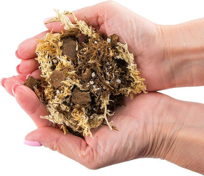 Gardenera Premium Orchid Mix by GARDENERA | Fern + New Zealand Pine Bark + Sphagnum Moss + Perlite | Best for Growing and Repotting Orchids - 5 Quart Bag