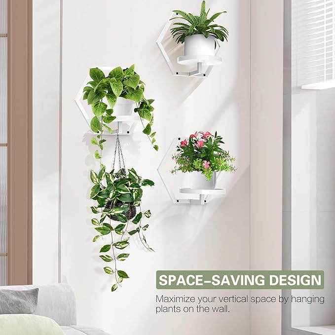 3 Packs Wall Planters for Indoor Plants, 7.9inch Metal Wall Plant Holder Hanger Wall Decor, Wall-Mounted Hanging Planters Window Plant Shelves Outdoor(White)