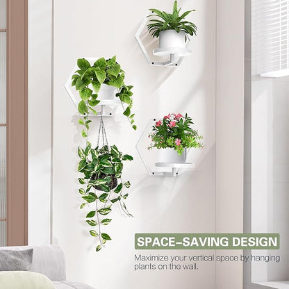 3 Packs Wall Planters for Indoor Plants, 7.9inch Metal Wall Plant Holder Hanger Wall Decor, Wall-Mounted Hanging Planters Window Plant Shelves Outdoor(White)