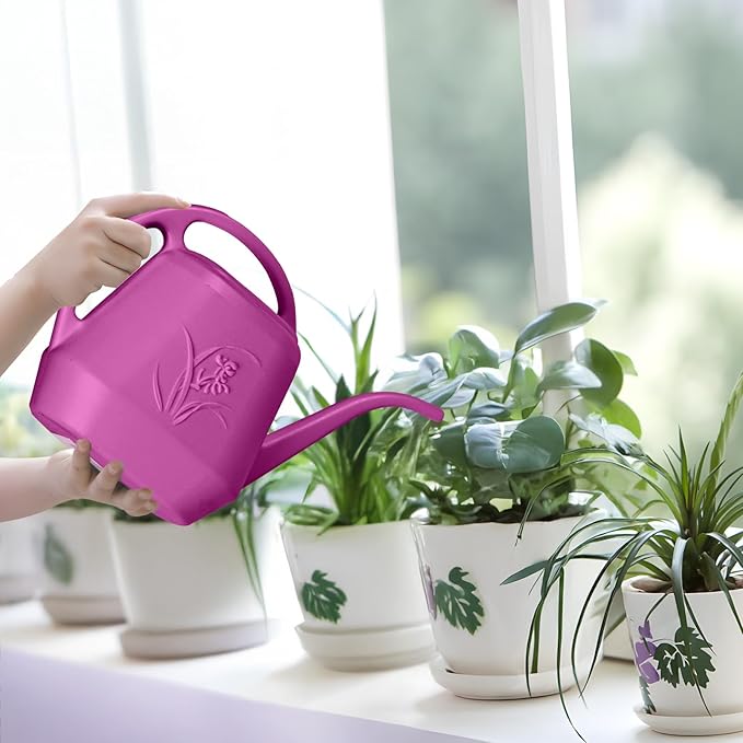 Plant Watering Can - 1/2 Gallon - Rose Red