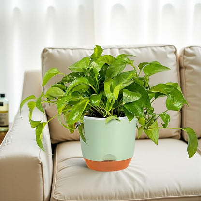 QCQHDU 2 Pack 7.2 Inch Orchid Pots with Holes for Repotting, Double-Layer and Self Watering Orchid Pot with Good Air Circulation