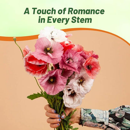 Outsidepride Mother of Pearl Poppy Seeds for Planting - 500 Pcs Annual, Drought-Tolerant & Easy to Grow Wildflower Seeds with Vibrant Mix Blooms for Landscaping, & Pollinator Garden