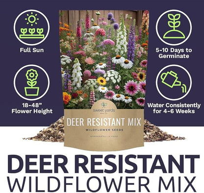 Deer Resistant Wildflower Seed Mixture - Bulk 1/4 Pound Bag - Over 60,000 Deer Tolerant Seeds - Open Pollinated and Non GMO