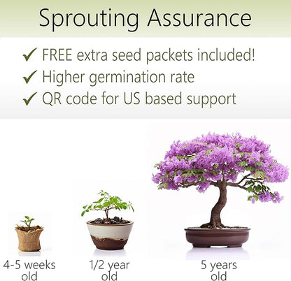 Bonsai Starter Kit – Growing Jacaranda Bonzai Tree | Complete Indoor Tree Kit for Growing Plants with Tools & Planter – Gardening Gifts for Mother, Women & Men