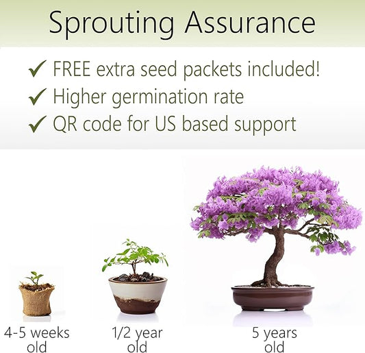 Bonsai Starter Kit – Growing Jacaranda Bonzai Tree | Complete Indoor Tree Kit for Growing Plants with Tools & Planter – Gardening Gifts for Mother, Women & Men