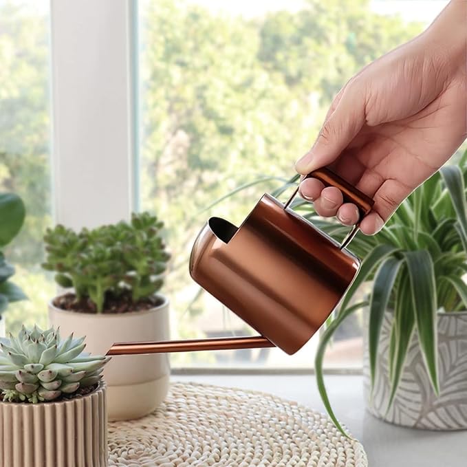 Watering Can 10oz/300ml Stainless Steel Long Spout Semi Open Powder Coated Flower Watering Pot for Garden Family Outdoor