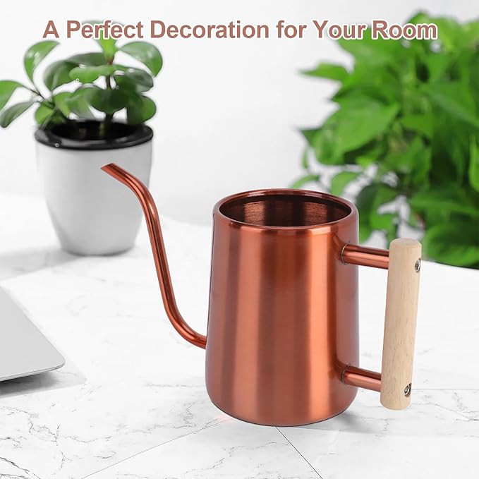 Watering Can Indoor Plants, 35 oz/1000 ml Metal Stainless Steel Watering Can Pot with Long Spout for Indoor House Plants Bonsai Outdoor Garden Flower Decorative (Copper)
