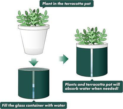 D'vine Dev 4 Inch Design Self Watering Planter for Indoor Plants, White Terracotta Pot with Teal Cylinder Glass Cup, Set of 3,37-Z-A-5-T