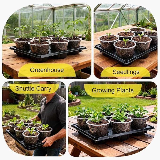 30 Pack 6 Inch Clear Nursery Pots and 5 Pack 6 Cell Round Plant Pot Trays, Sturdy Seeds Starting Germination Shuttle Carrying Trays, Planter Nursery Propagation 5 Sets
