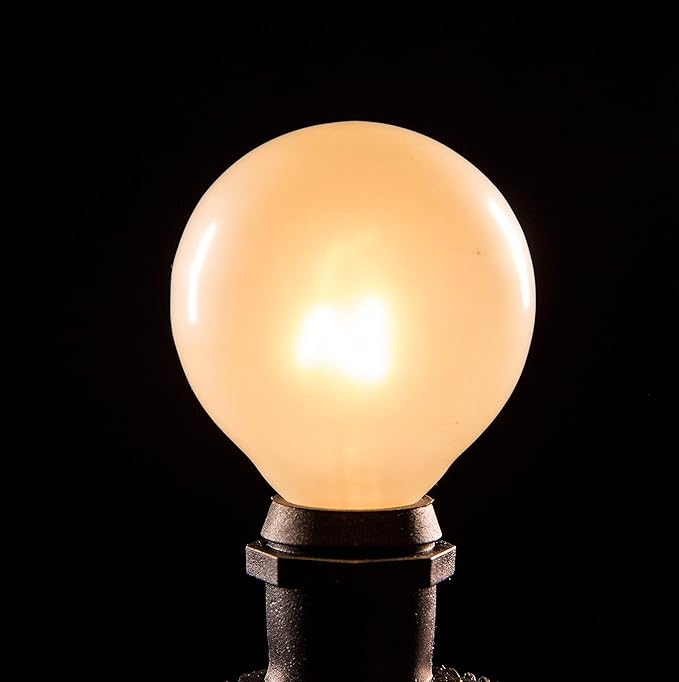 Hometown Evolution, Inc. 25 Foot C9 Commercial Exterior Globe String Lights with 20 G50 2 Inch White Satin Bulbs (White Wire) for Weatherproof Heavy Duty Vintage Outside Lighting