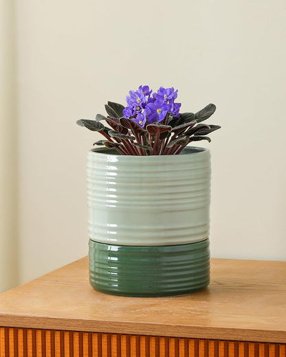 Self Watering Pots for Indoor Plants, 6 Inch Ceramic Self Watering Plant Pot, Planter Pot with Wick Rope and Drainage Hole for African Violet Succulent Herbs (Green Light)