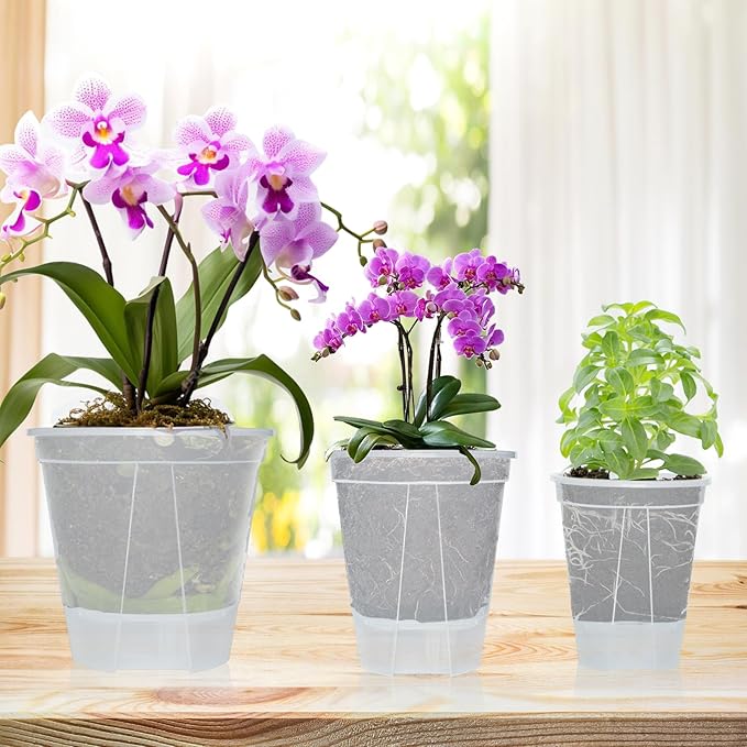 Cdd's Path 6-Pack Self Watering Pots Set with Holes for Indoor/Outdoor Plants,2 Each of 5, 6 and 7 Inch Planter Pot with Watering Hole/Reservoir and Air Pipes,Clear