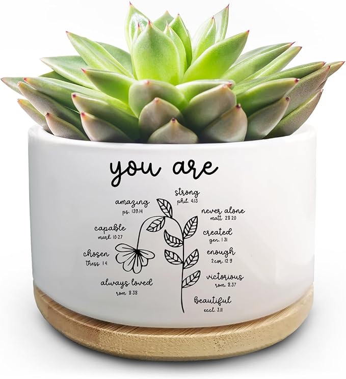 Christian Religious Gifts for Women, Succulent Plant Pot, Cactus Flower Planter Gifts, Inspirational Motivational Gifts for Women Friend, Plant Pots for Office Desk Table Shelf (No Plants)