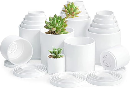 D'vine Dev Pack of 20 Plastic Plant Pots (4 Set of 2 Inch, 2.5 Inch, 3 Inch, 3.5 Inch, 4 Inch) Small Garden Planter Pots for Plant with Drainage Holes and Saucers, White, 74-U-A