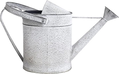 Vintage Metal Watering Can with Chelsea No.22 Design Garden Decorative Watering Pot Farmhouse Waterer for Home Indoor Outdoor Garden Balcony Courtyard (Gray#2)