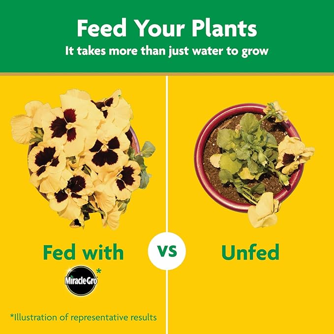 Miracle-Gro Water Soluble All Purpose Plant Food, Plant Fertilizer for Indoor or Outdoor Plants, Roses, Flowers, Houseplants, Vegetables and Trees, 6.25 lb.