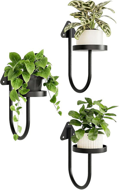 Wall Mounted Plant Holder , Yi Cheng Indoor Wall Plant Hanger with Shelves for Window Plants, Hanging Planters for Home Decor, Set of 3 Black Plant Wall Organizers