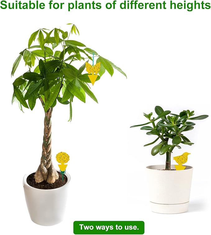 54 Pack Fruit Fly Trap for Indoor, Gnat Traps for House Indoor, Fungus Gnat Killer Sticky Traps for Plants, Mosquitoes, Flying Insects