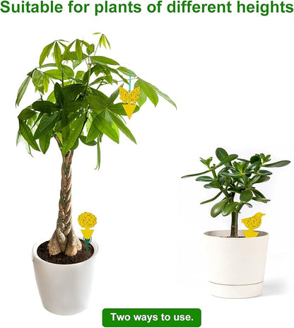 54 Pack Fruit Fly Trap for Indoor, Gnat Traps for House Indoor, Fungus Gnat Killer Sticky Traps for Plants, Mosquitoes, Flying Insects