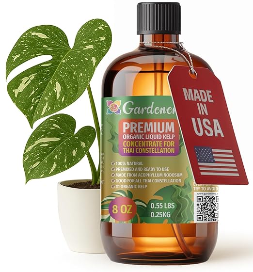 GARDENERA Premium Organic Seaweed & Kelp Superfood for Thai Constellation Plants - 8 oz - Liquid Kelp Fertilizer Concentrate (Makes 45 Gallons)