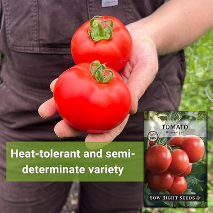 Sow Right Seeds - Homestead Tomato Seeds for Planting - Non-GMO Heirloom Packet with Instructions to Plant a Home Vegetable Garden - Semi Determinate Classic Red Variety - Medium Sized(1)