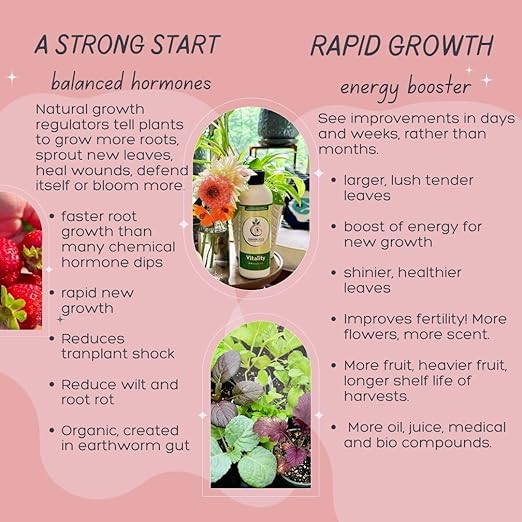 VermisTerra Vitality 16 oz - 4 pack (64 oz) Worm Castings Super Concentrate, Plant Food, Promotes Health and Amazing Growth for Vegetables, Fruit, Houseplants - Non-Toxic, Living Enzymes, Gentle - Will Not Burn