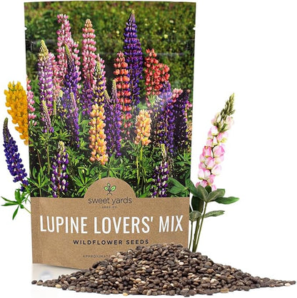 Bulk Lupine Mix Wildflower Seeds 1/4 Pound Bag - Over 4,500 Untreated Annual and Perennial Mixed Lupine Flower Seeds
