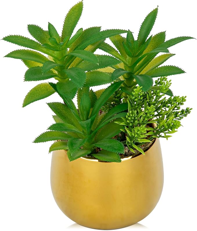 Briful Artificial Succulents Plants in Ceramic Pot, Faux Succulent with Gold Planters – Modern Desk Decor for Home Office Shelf Bathroom, Small Fake Plants Potted