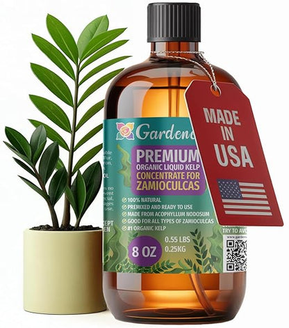 GARDENERA Premium Organic Seaweed & Kelp Superfood for ZAMIOCULCAS Plants - 8 oz - Liquid Kelp Fertilizer Concentrate (Makes 45 Gallons)