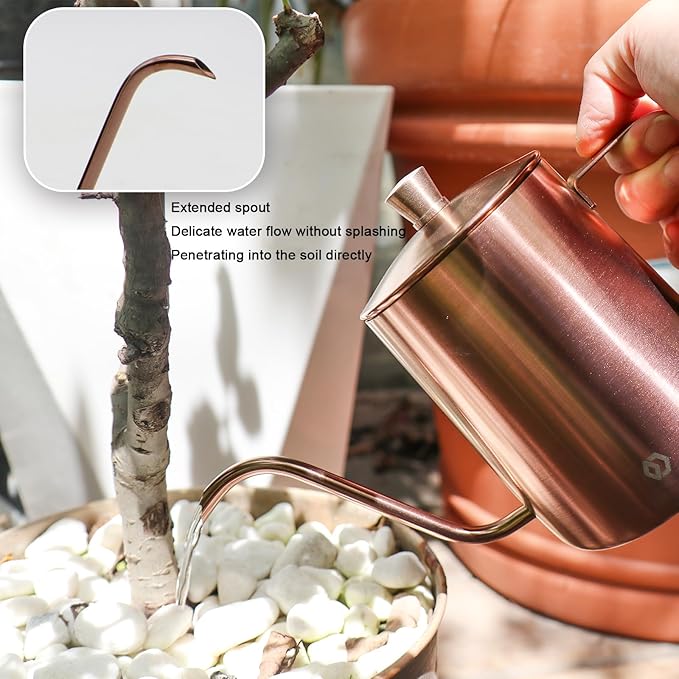 Watering Can for Indoor Plants Long Spout Metal Stainless Steel 21 oz/600 ml Small Watering Can with 14 oz/400ml Glass Plant Mister Spray Bottle for Plants Bonsai