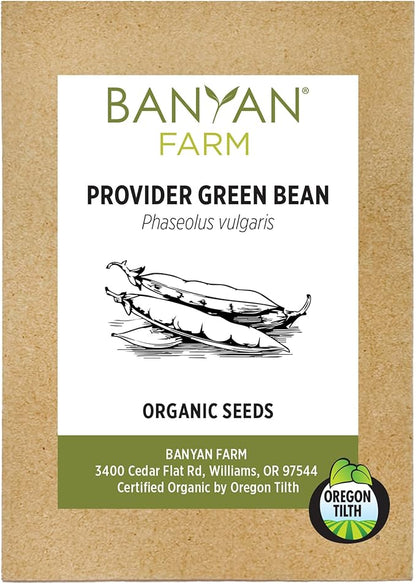 Banyan Botanicals Organic Green Bean Seeds – Provider Heirloom Green Bean Seeds – Early-Producing, Tender, and Crisp – 100 Count – Open Pollinated Non-GMO Easy to Grow