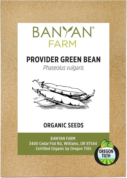 Banyan Botanicals Organic Green Bean Seeds – Provider Heirloom Green Bean Seeds – Early-Producing, Tender, and Crisp – 100 Count – Open Pollinated Non-GMO Easy to Grow