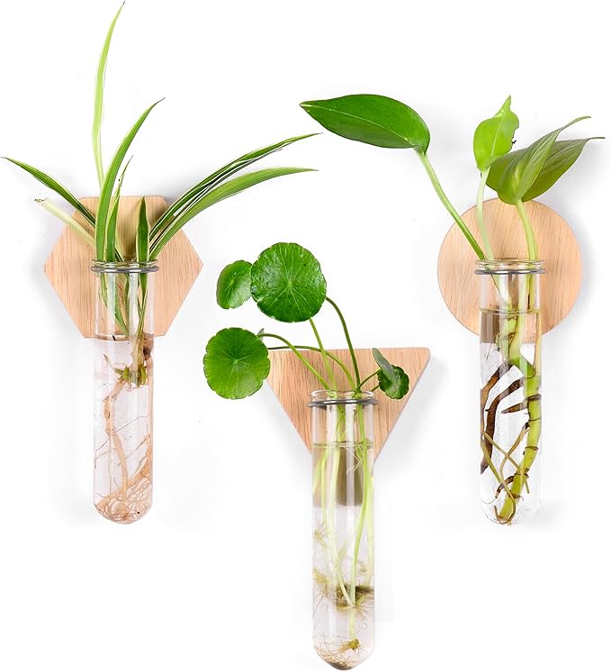 MITIME Wall Hanging Planter Glass Plant Propagation Station,Geometric Wooden Stand for Home Office Decoration.
