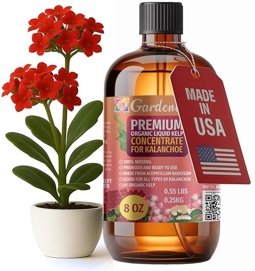GARDENERA Premium Organic Seaweed & Kelp Superfood for KALANCHOE Plants - 8 oz - Liquid Kelp Fertilizer Concentrate (Makes 45 Gallons)